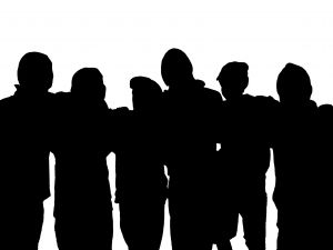 801331_the_lineup